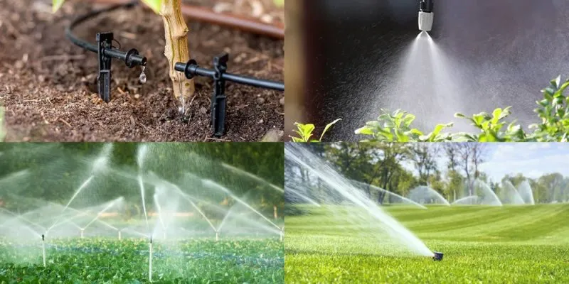 Các Loại Hệ Thống Tưới Cây Tự Động Phổ Biến